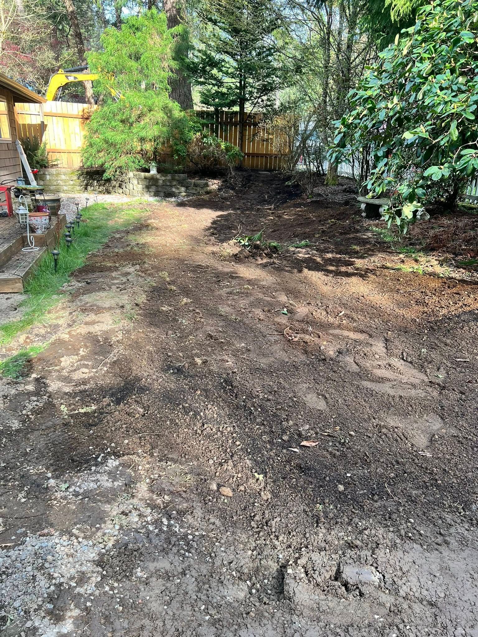 A dirt path leads through a wooded backyard, with a wooden fence and various trees in the background.