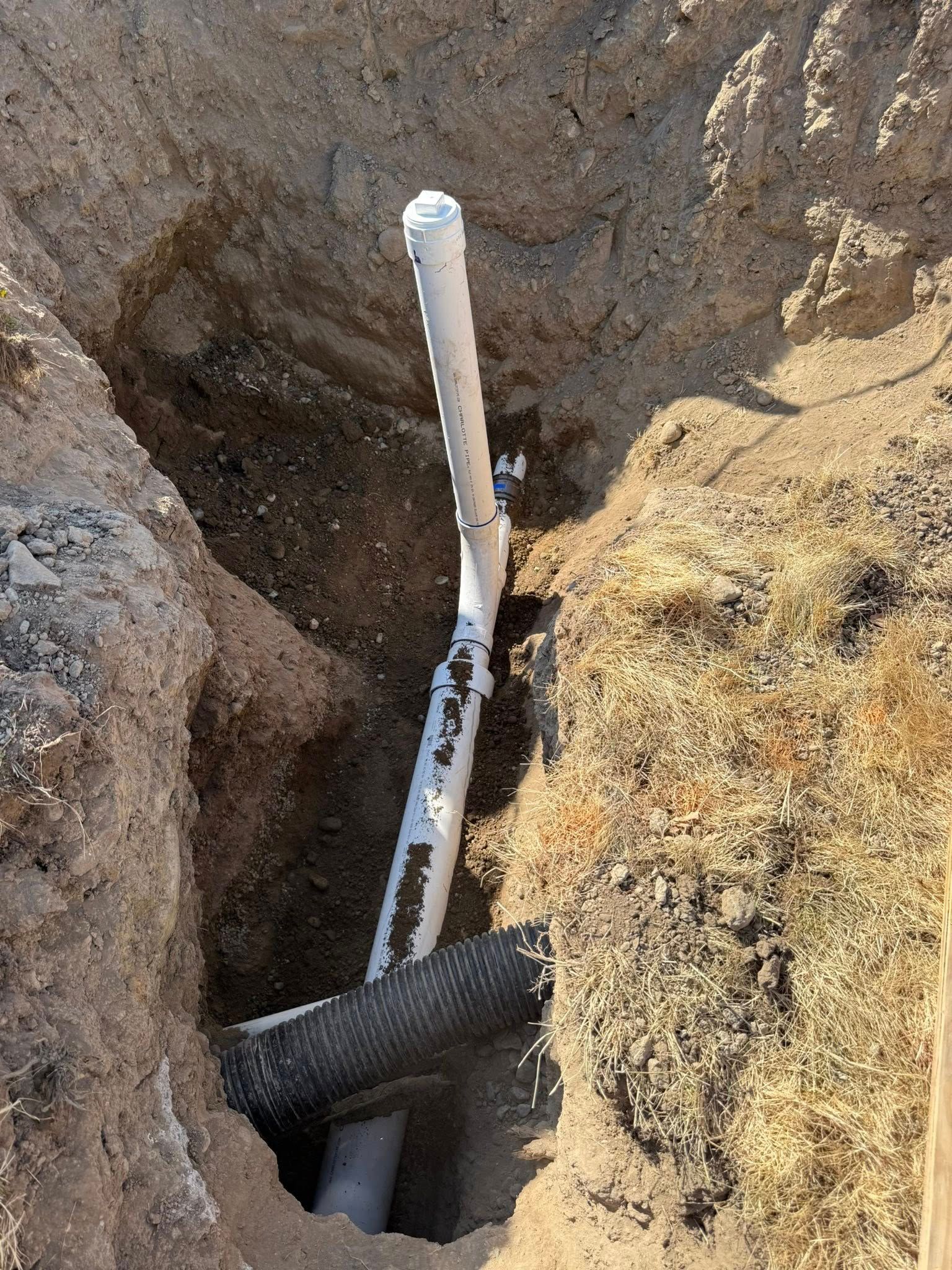 A white PVC pipe assembly with a vertical riser installed in a dirt trench, connected to a black corrugated drainage pipe.