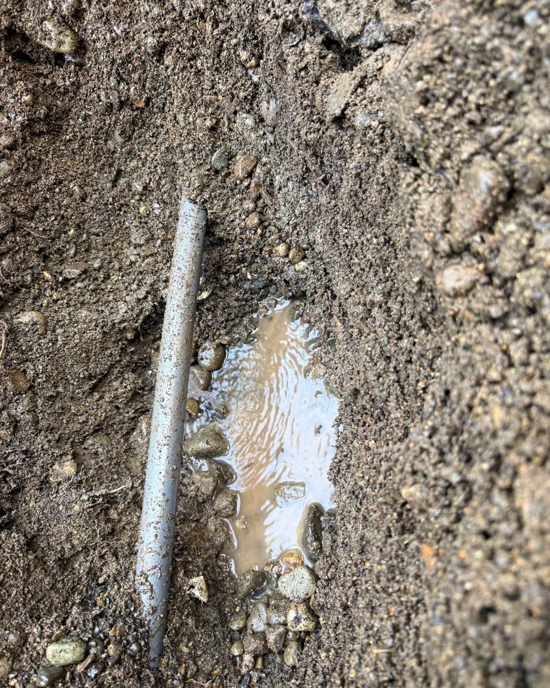 A grey pipe runs vertically through dirt, with a small pool of muddy water visible beside it.