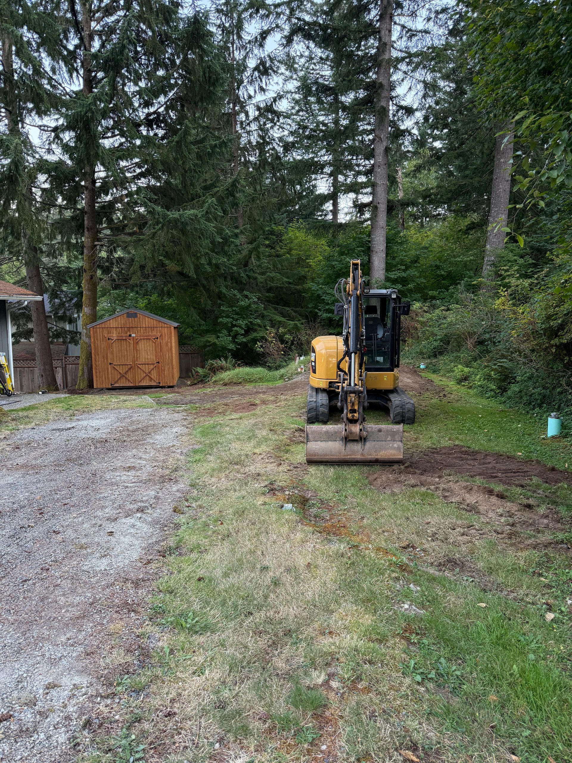 A yellow mini excavator sits on a dirt path in a wooded area, next to a gravel driveway and a wooden fence.