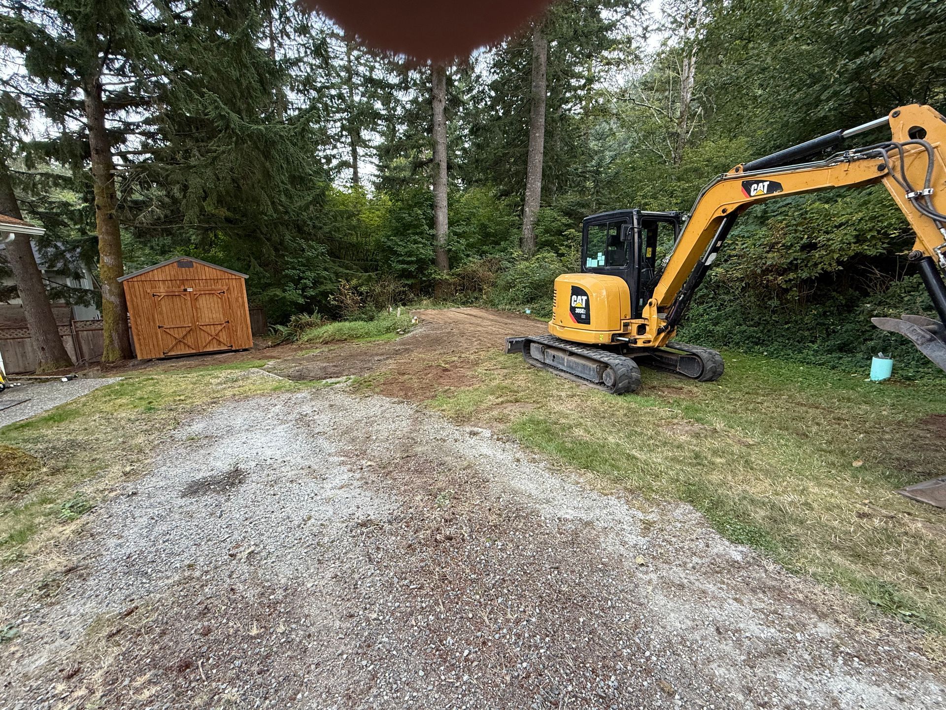 A yellow mini excavator sits on a gravel lot near a wooden shed at the edge of a wooded area.