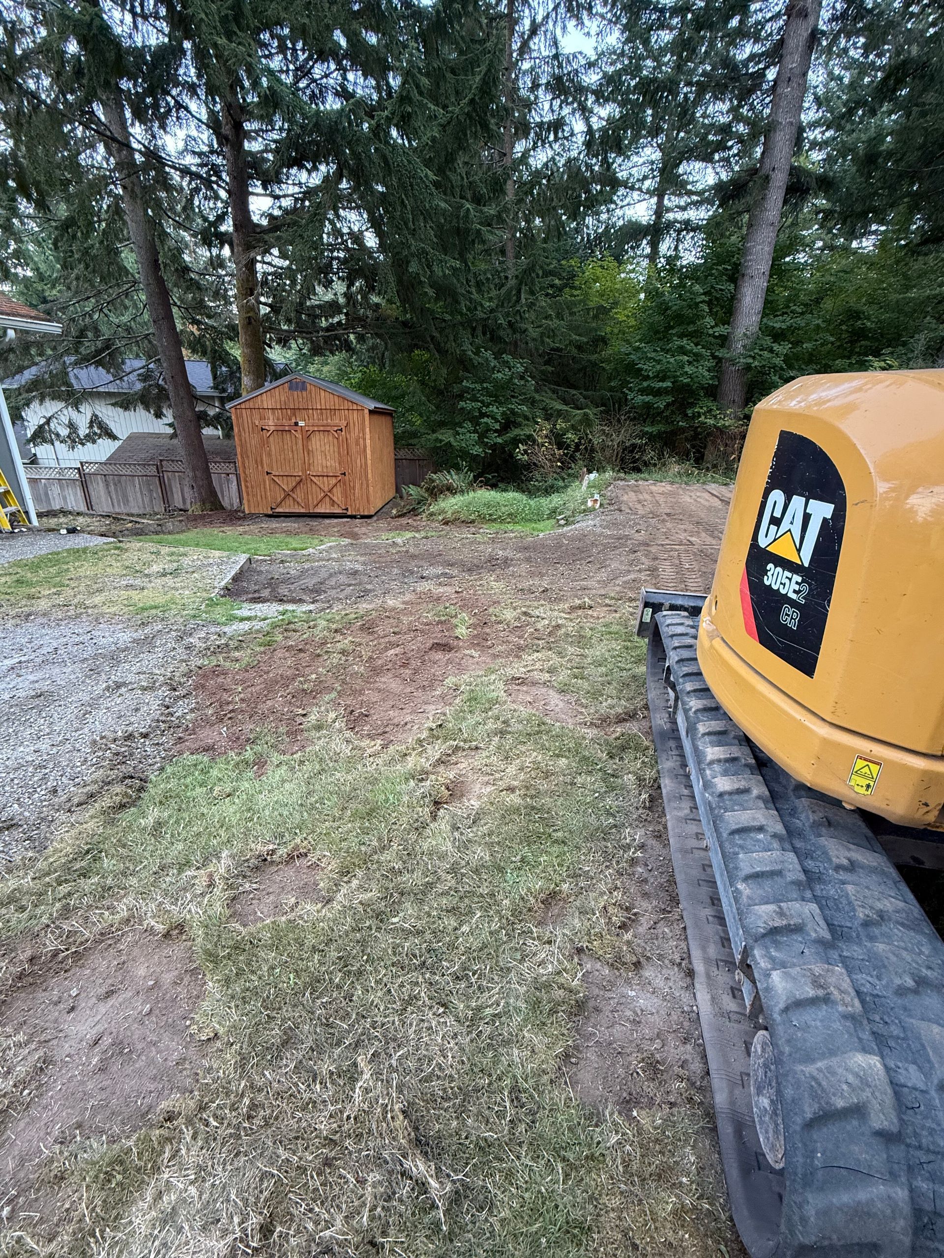 A yellow CAT brand construction vehicle sits on grass next to a wooden shed in a wooded yard.