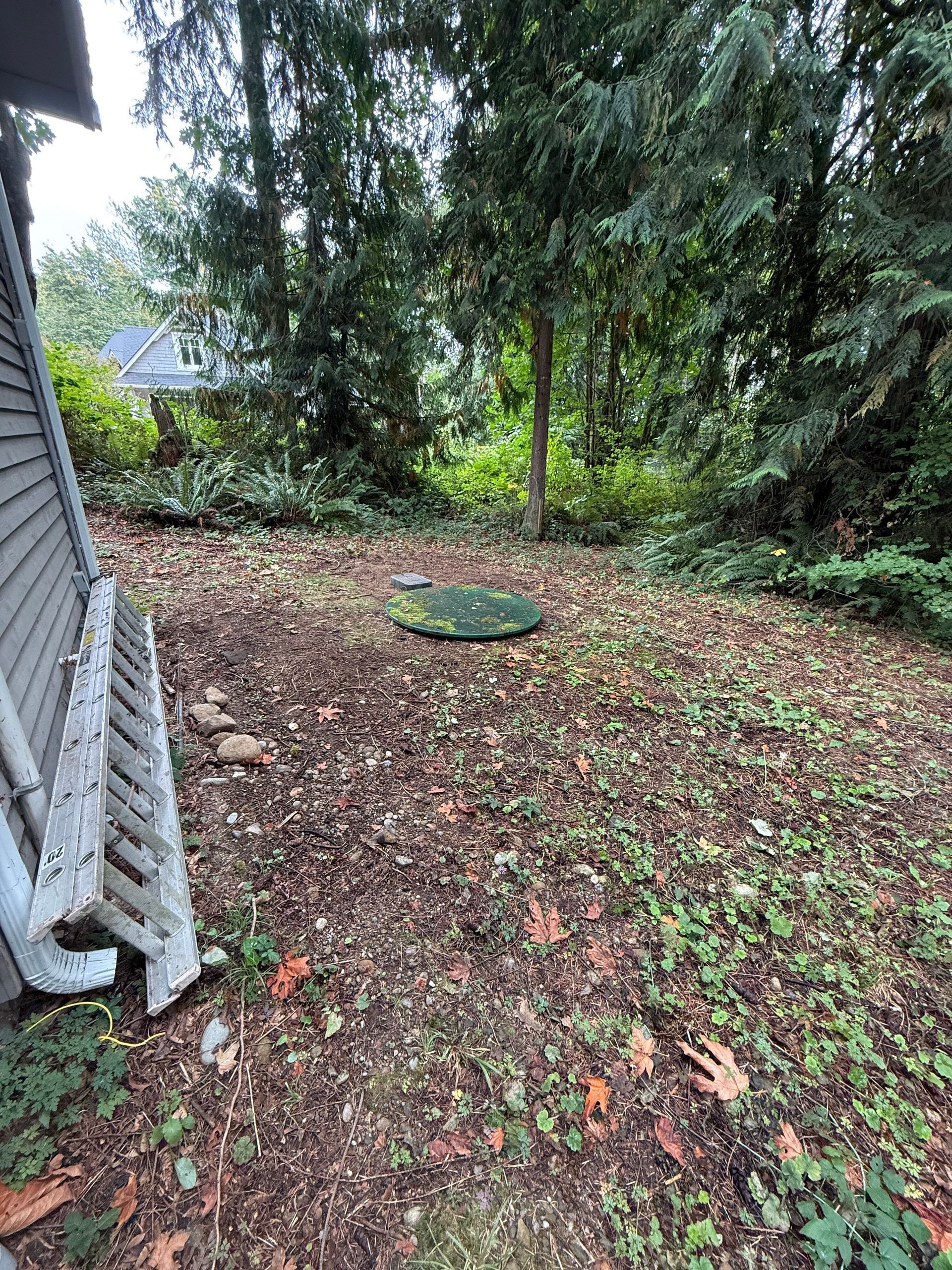An outdoor backyard area with a circular green septic tank lid surrounded by fallen leaves, next to the side of a house.