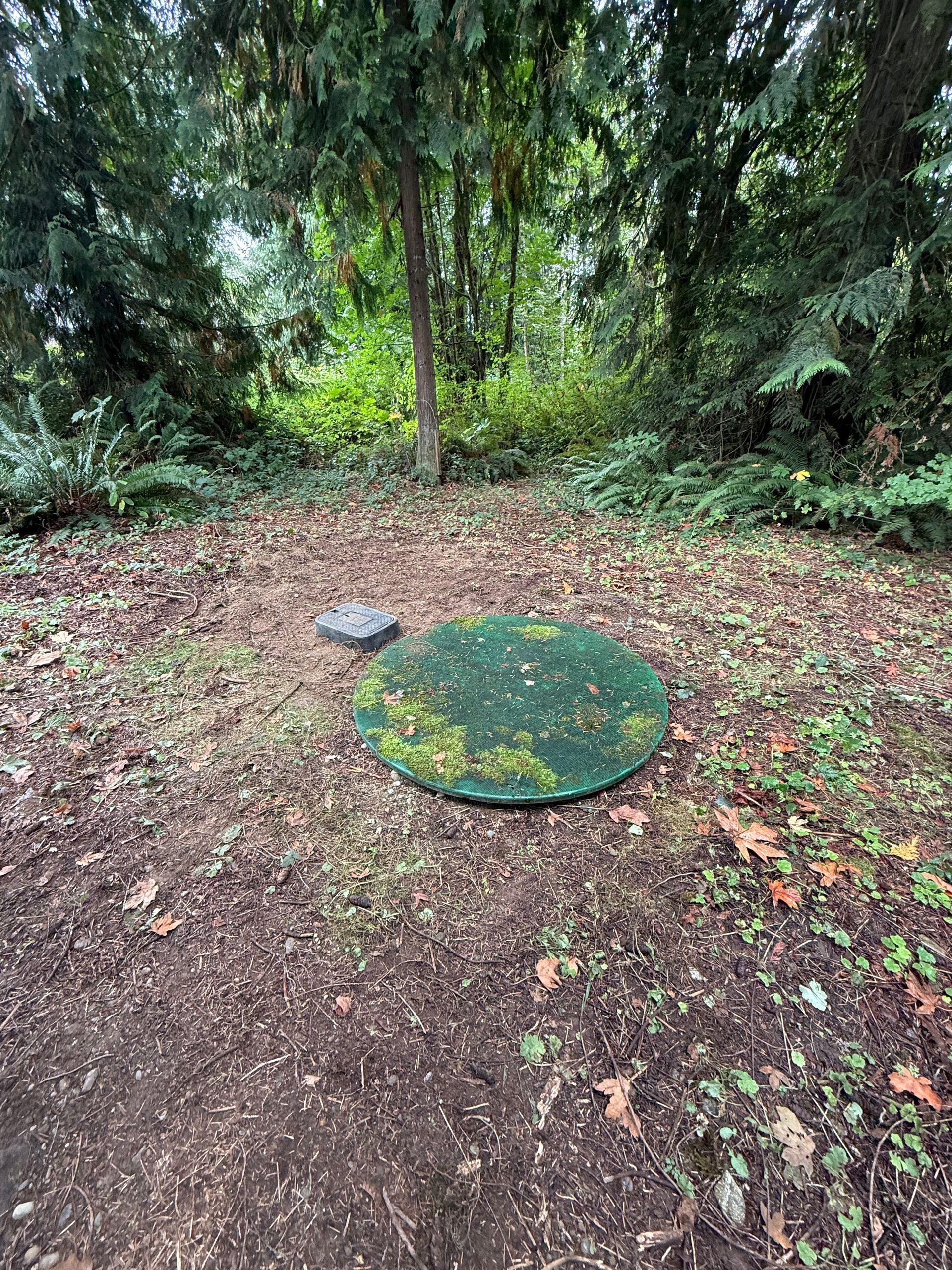 A green, circular utility cover sits in a wooded area on dirt and fallen leaves, next to a small, grey stone marker.