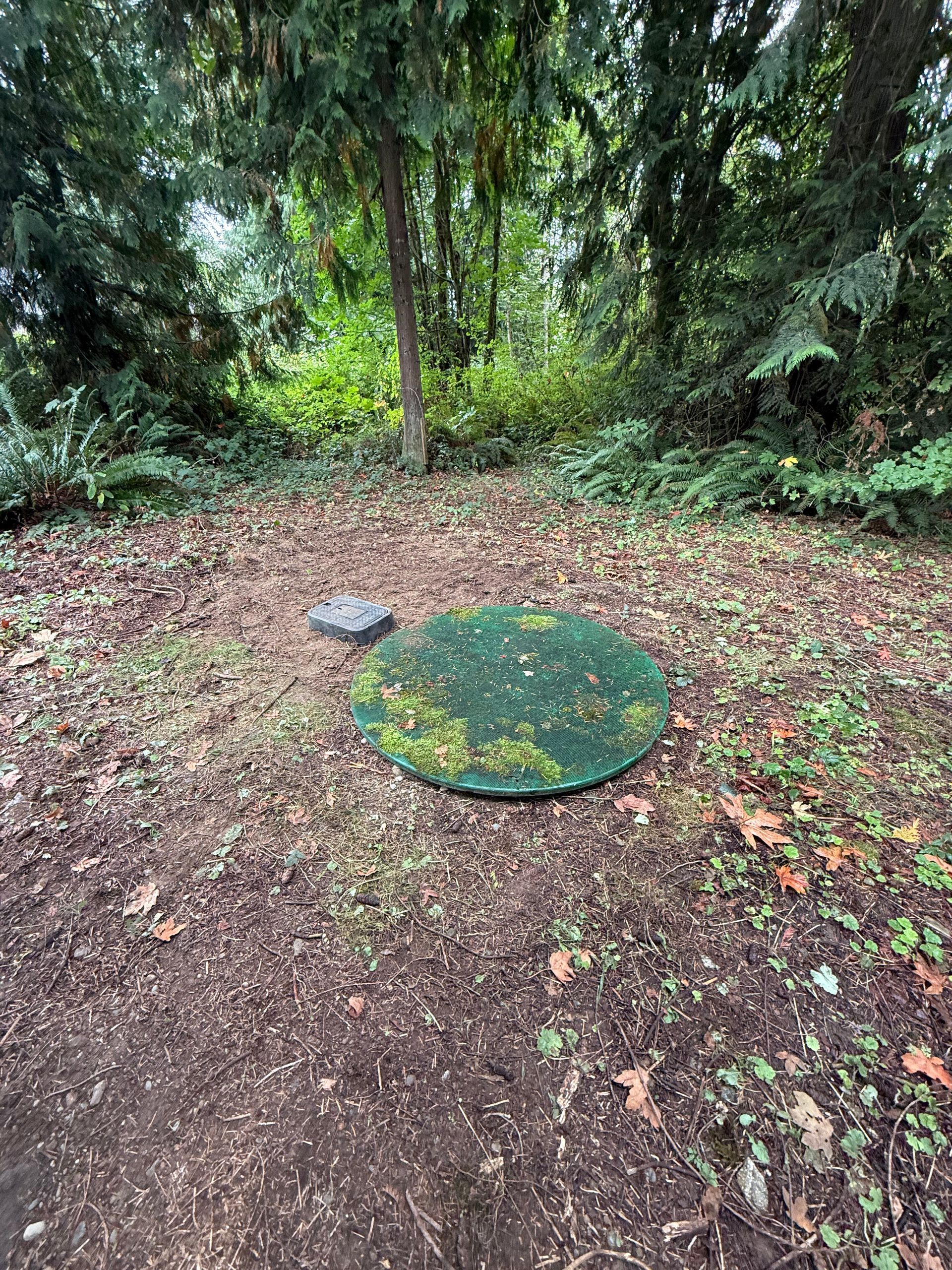 A round, moss-covered green cover set in the dirt of a wooded area, with a small rectangular utility box nearby.
