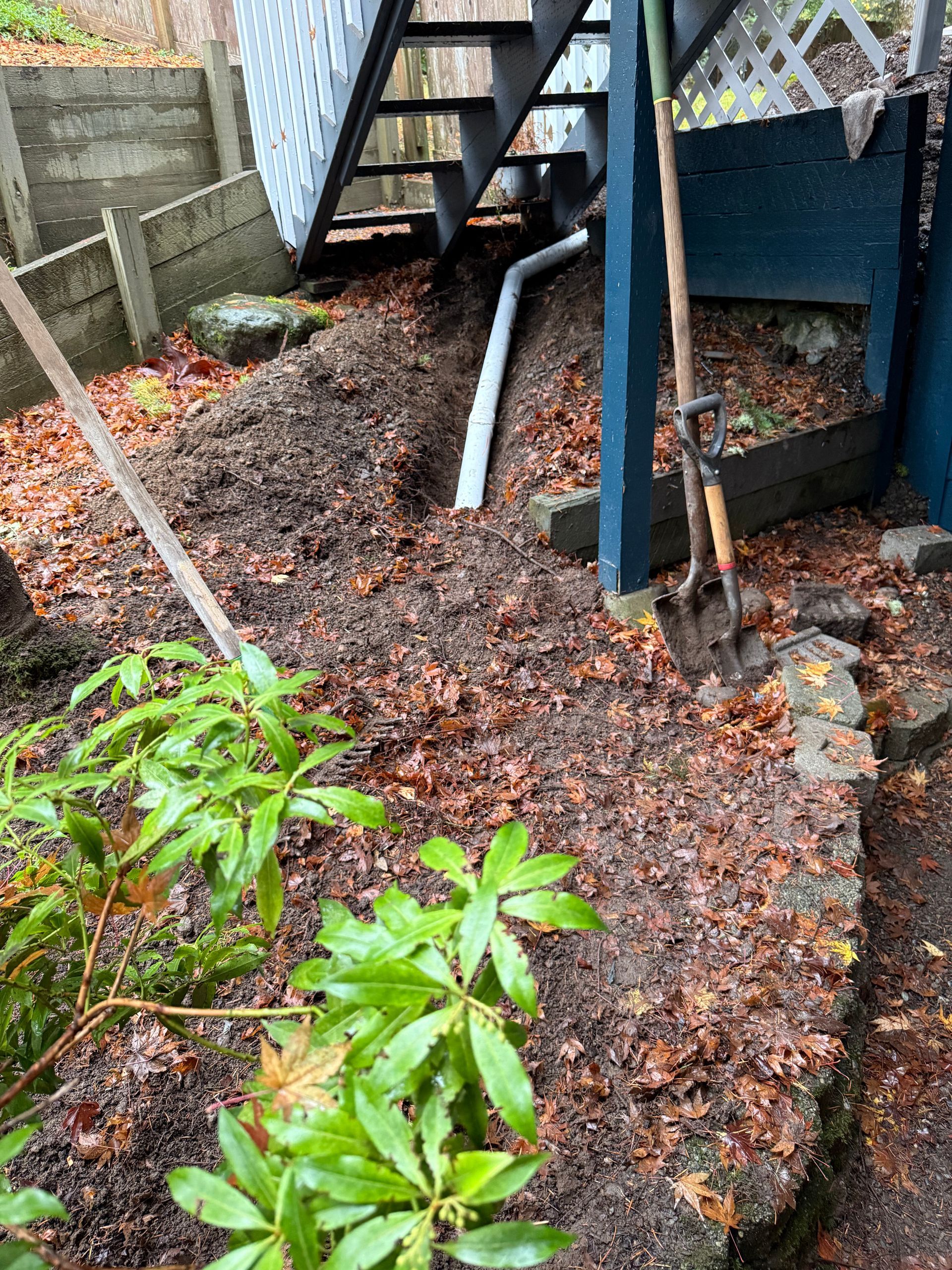 A PVC drain pipe runs through dirt and leaves beneath a wooden staircase and deck, with a shovel leaning against a post.