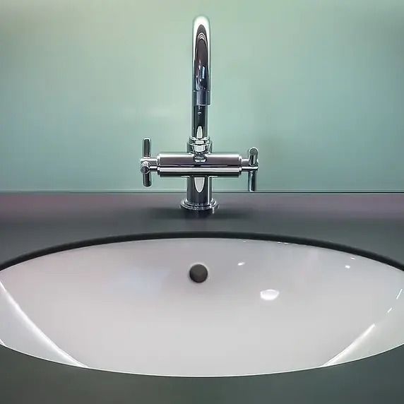 Custom Sinks, Toilets, & Showers