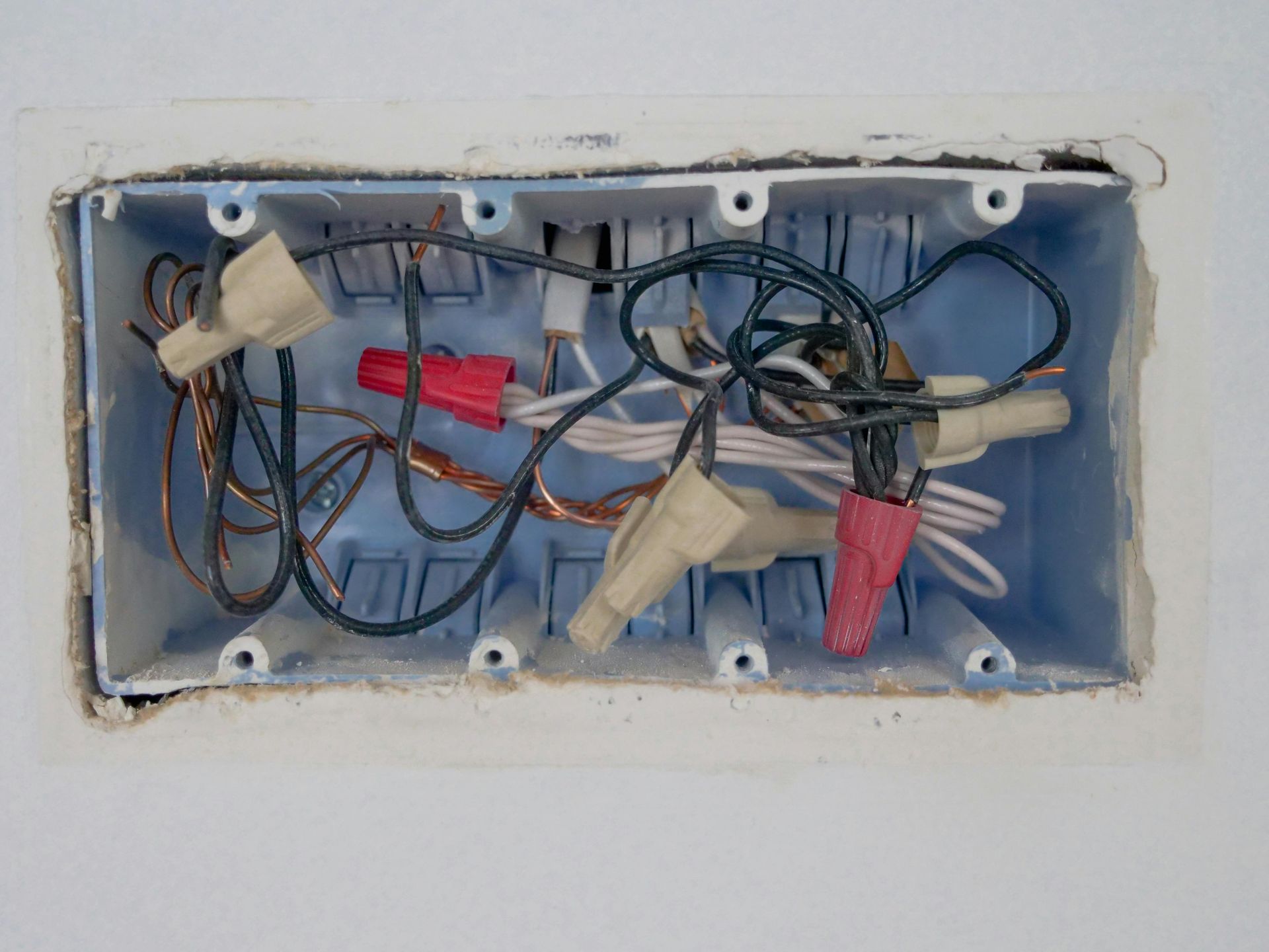 Electrical wiring in a blue recessed box with wire connectors; white wall.