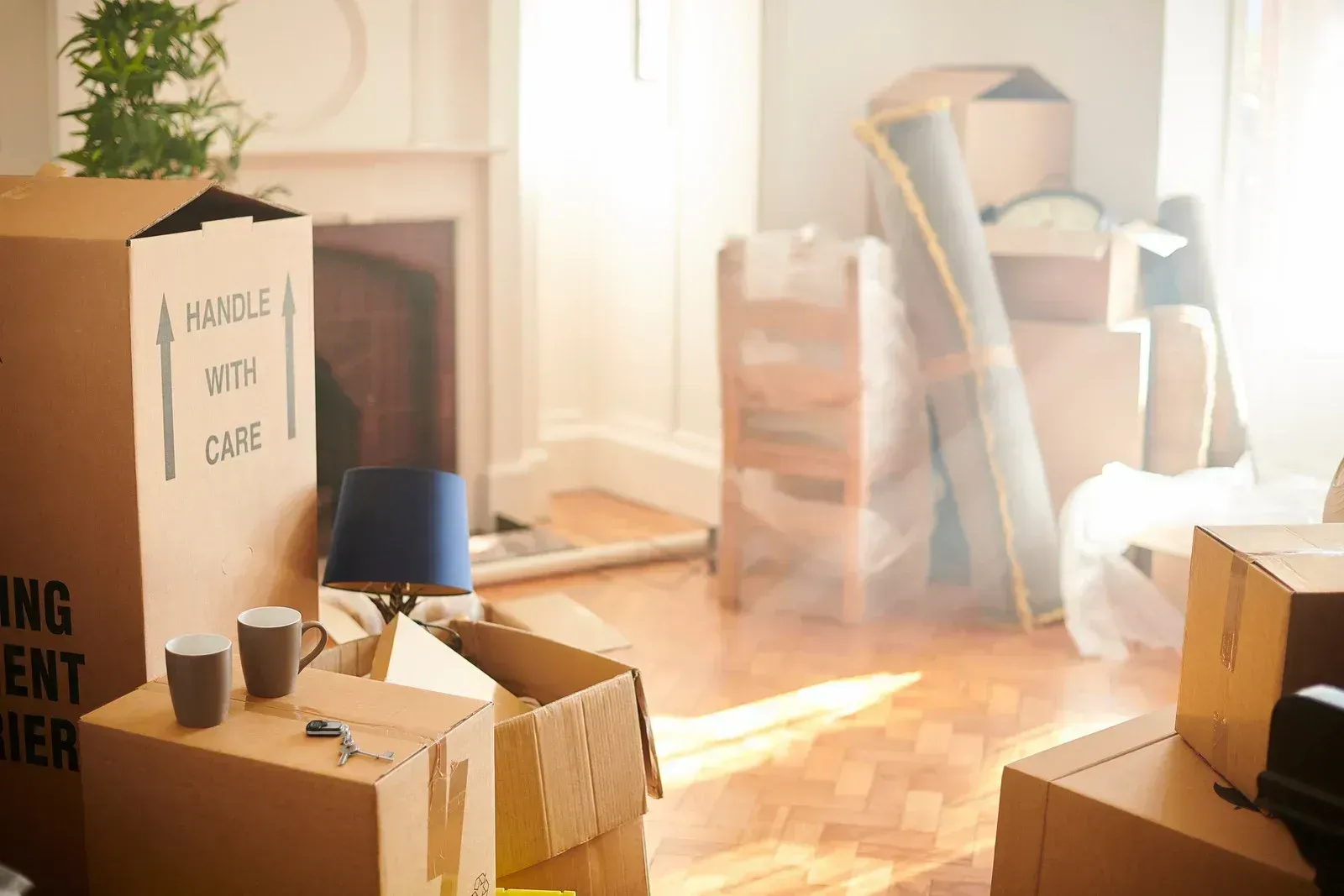 Boxes in a room, likely during a move. Fireplace and rug visible, warm sunlight shining in.