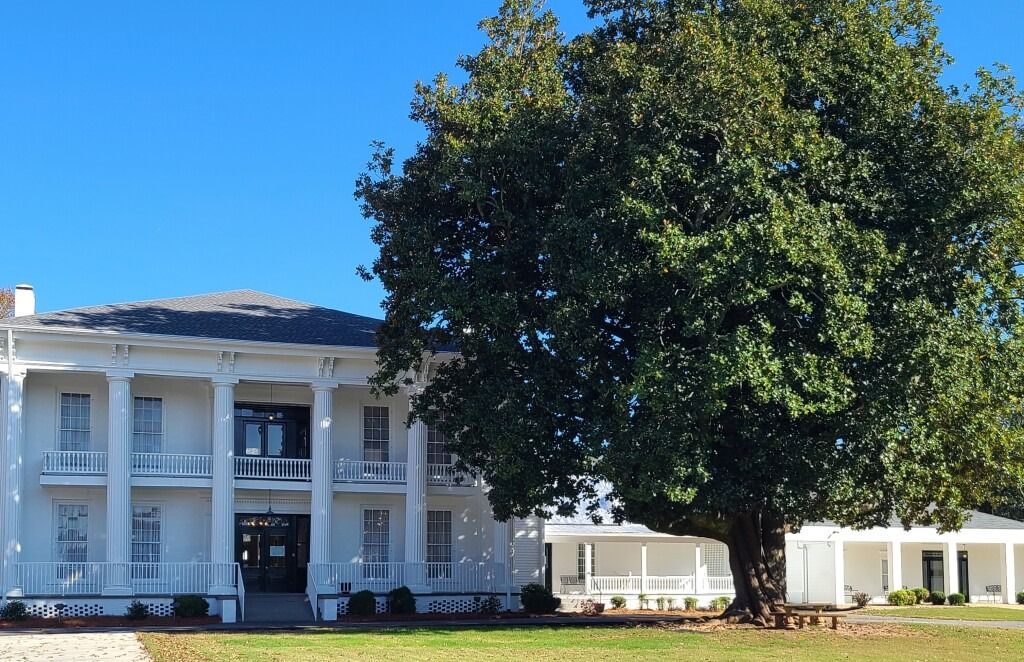 A white historic Southern-style house with tall columns next to a large tree under a bright blue sky.