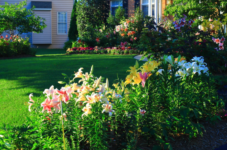 Eco-Friendly Landscaping Tips