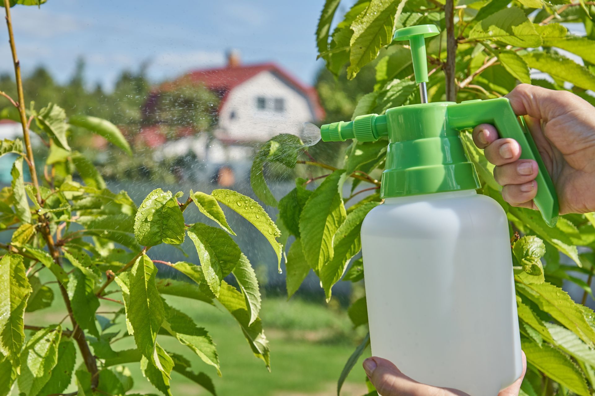 a green bottle spraying pest control