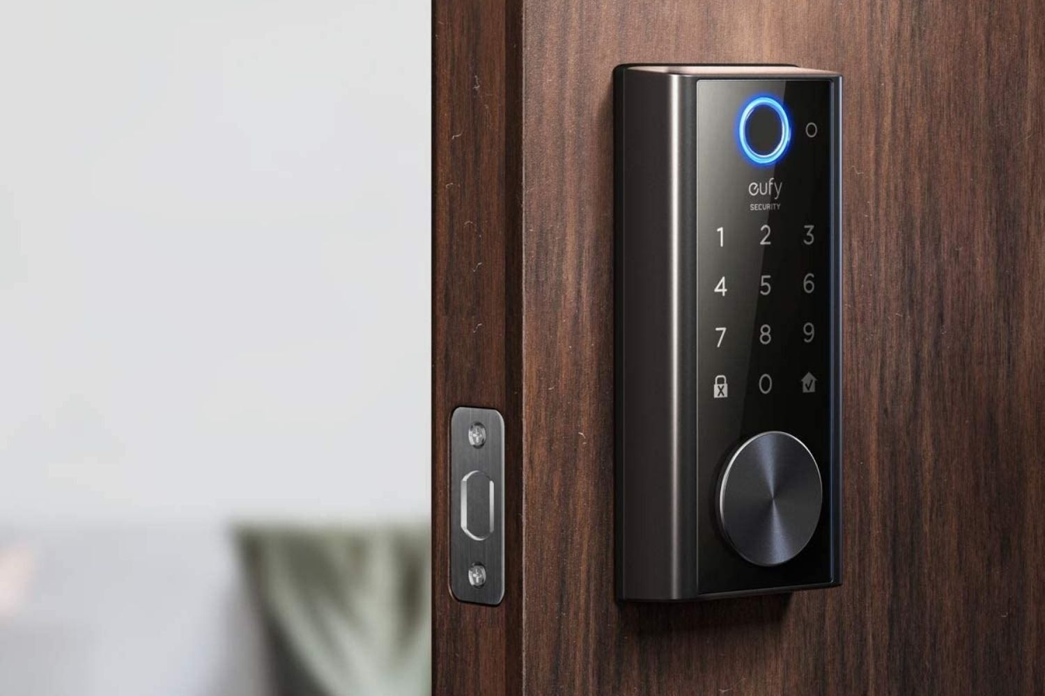 Keyless door with touchpad and electronic lock for secure access control.