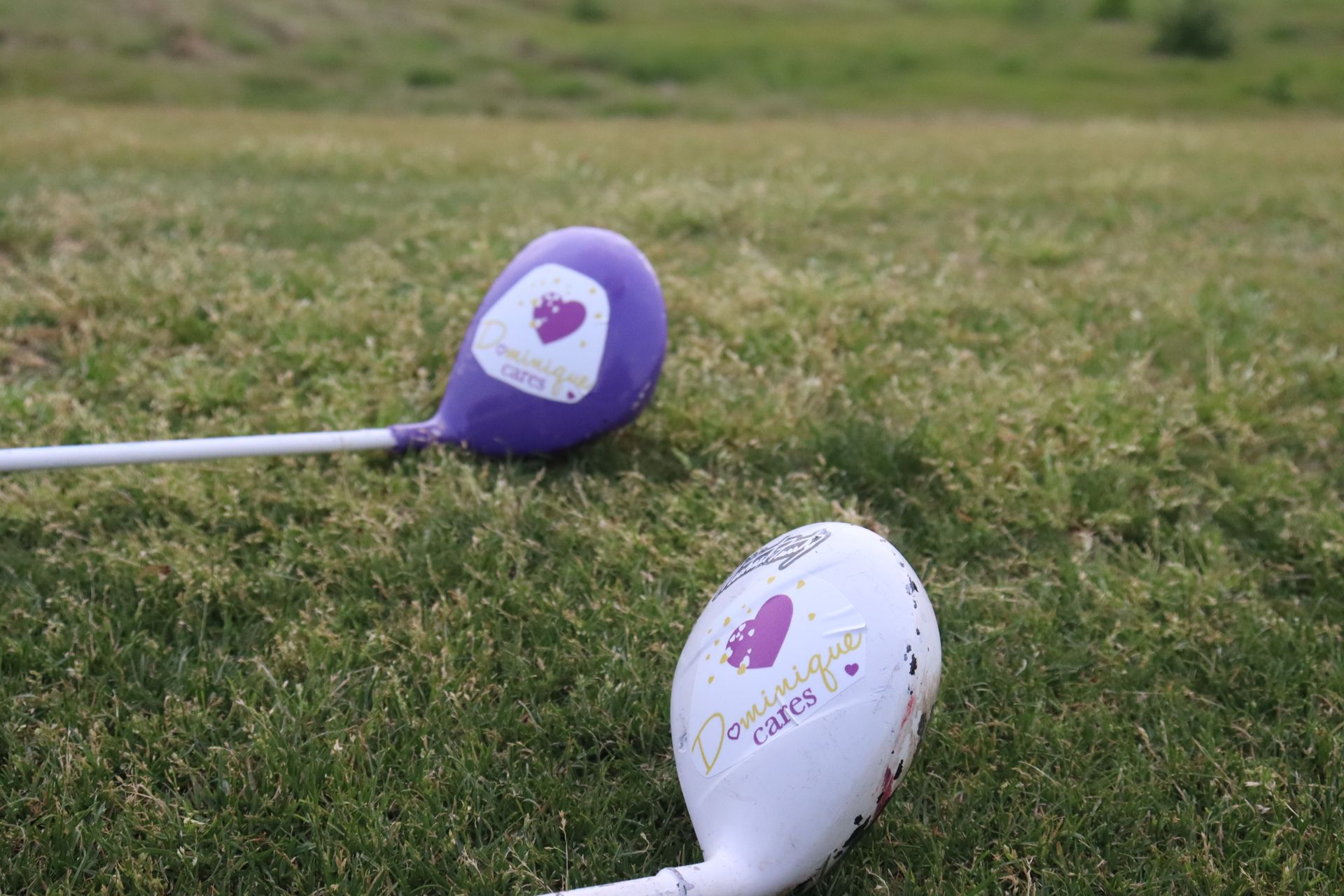 Two golf clubs with purple and white heads on a green grass field.