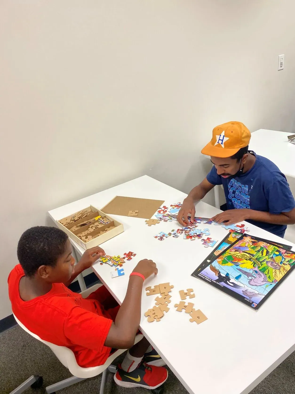 Puzzles and activities