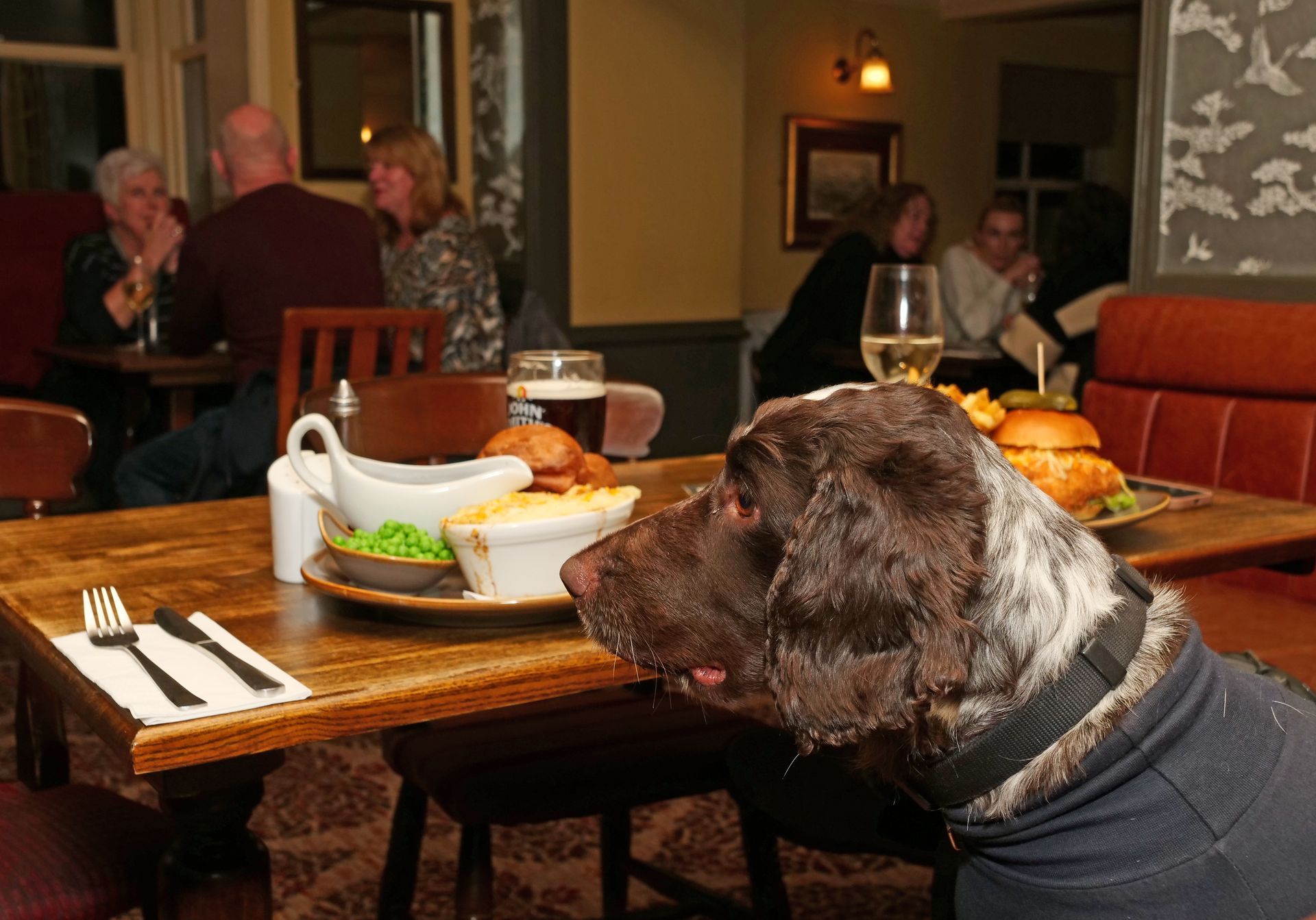 A dog is sitting at a table in a restaurant looking at food