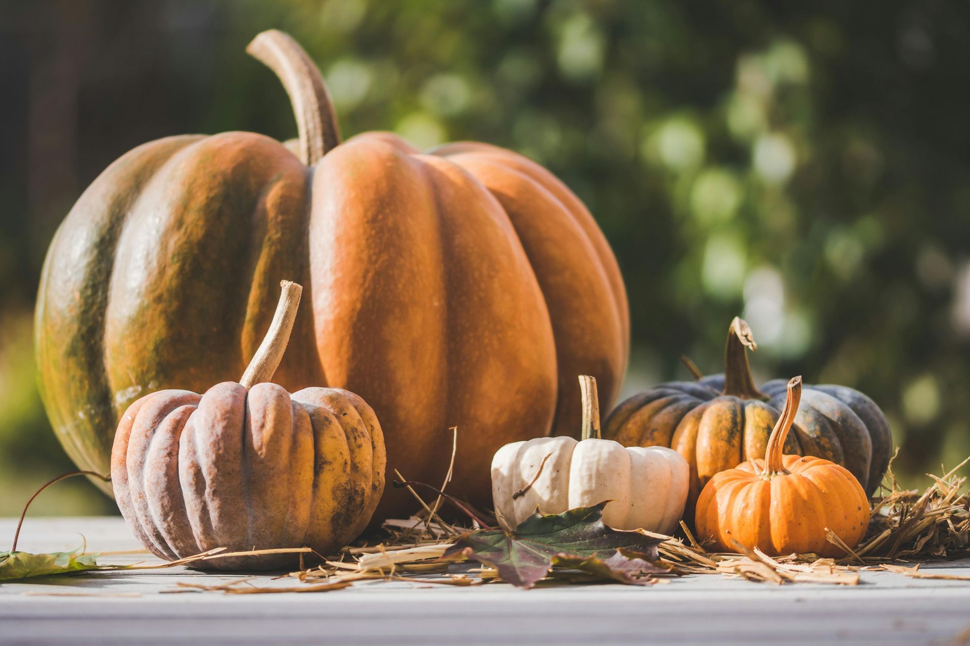 There are many different types of pumpkins on the table.