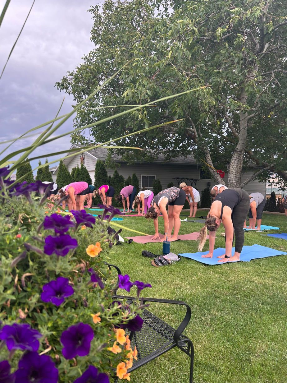 a group of people are doing Pilates in a park .