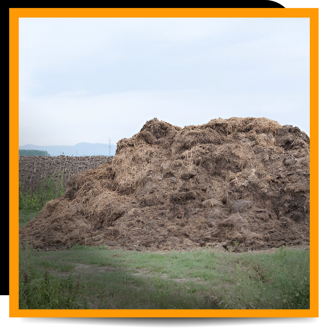 Manure on the ground