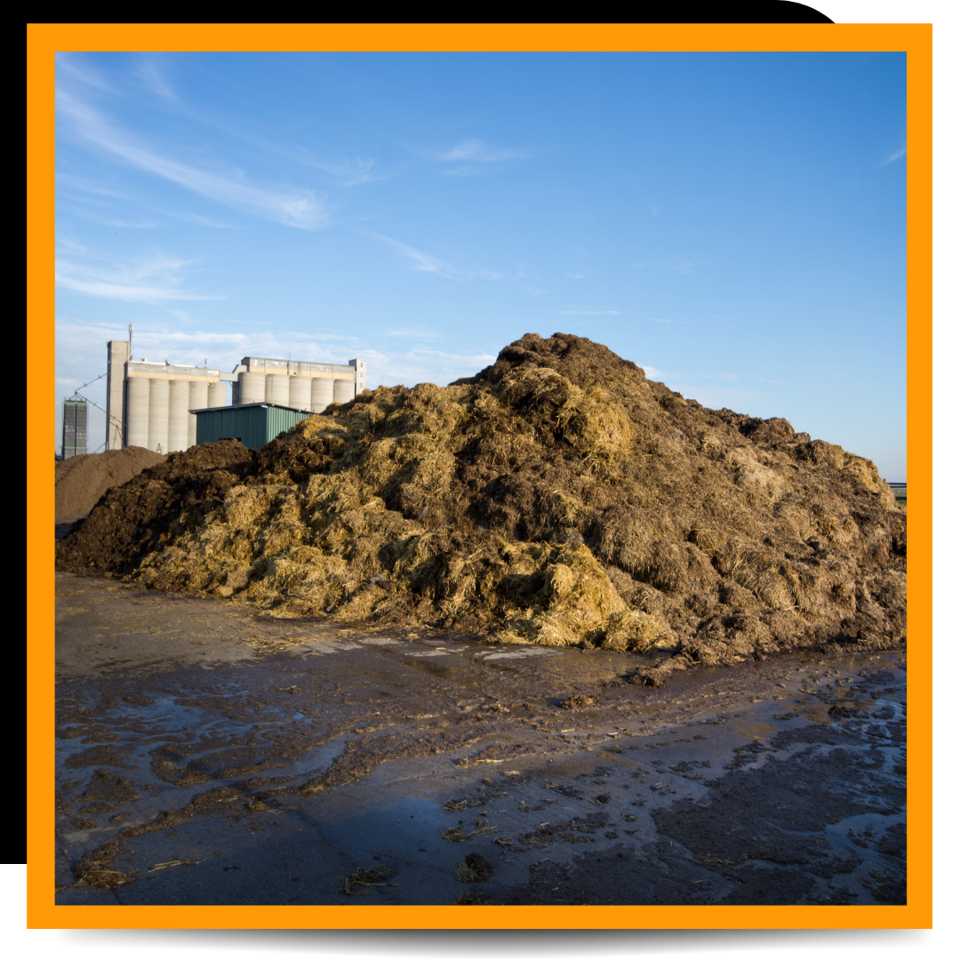 manure removed and on the ground