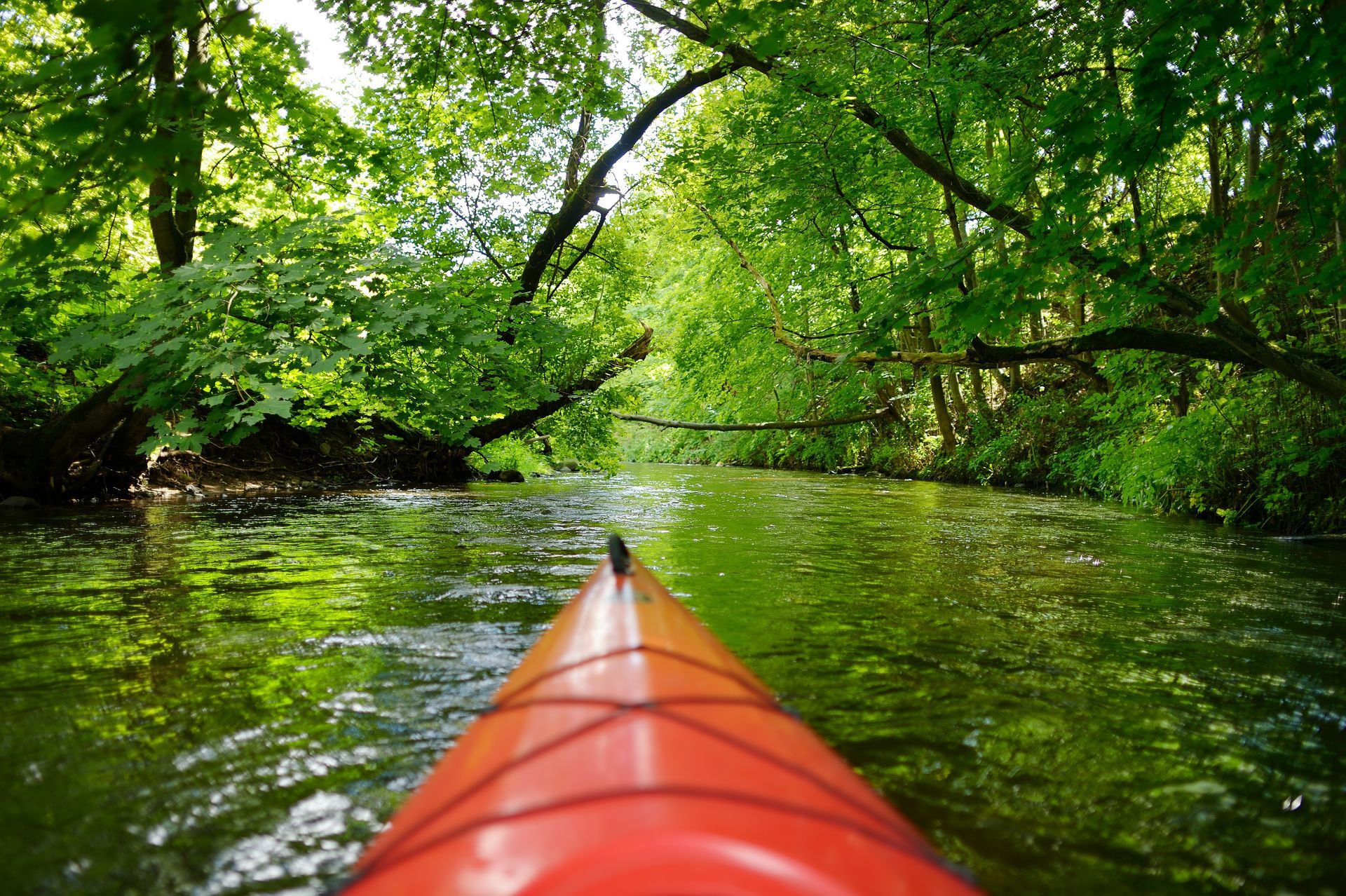 Kayaker on a river surrounded by green trees; red kayak nose in focus.