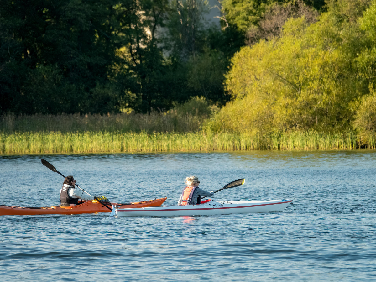 Two people kayaking on a lake with trees in the background.