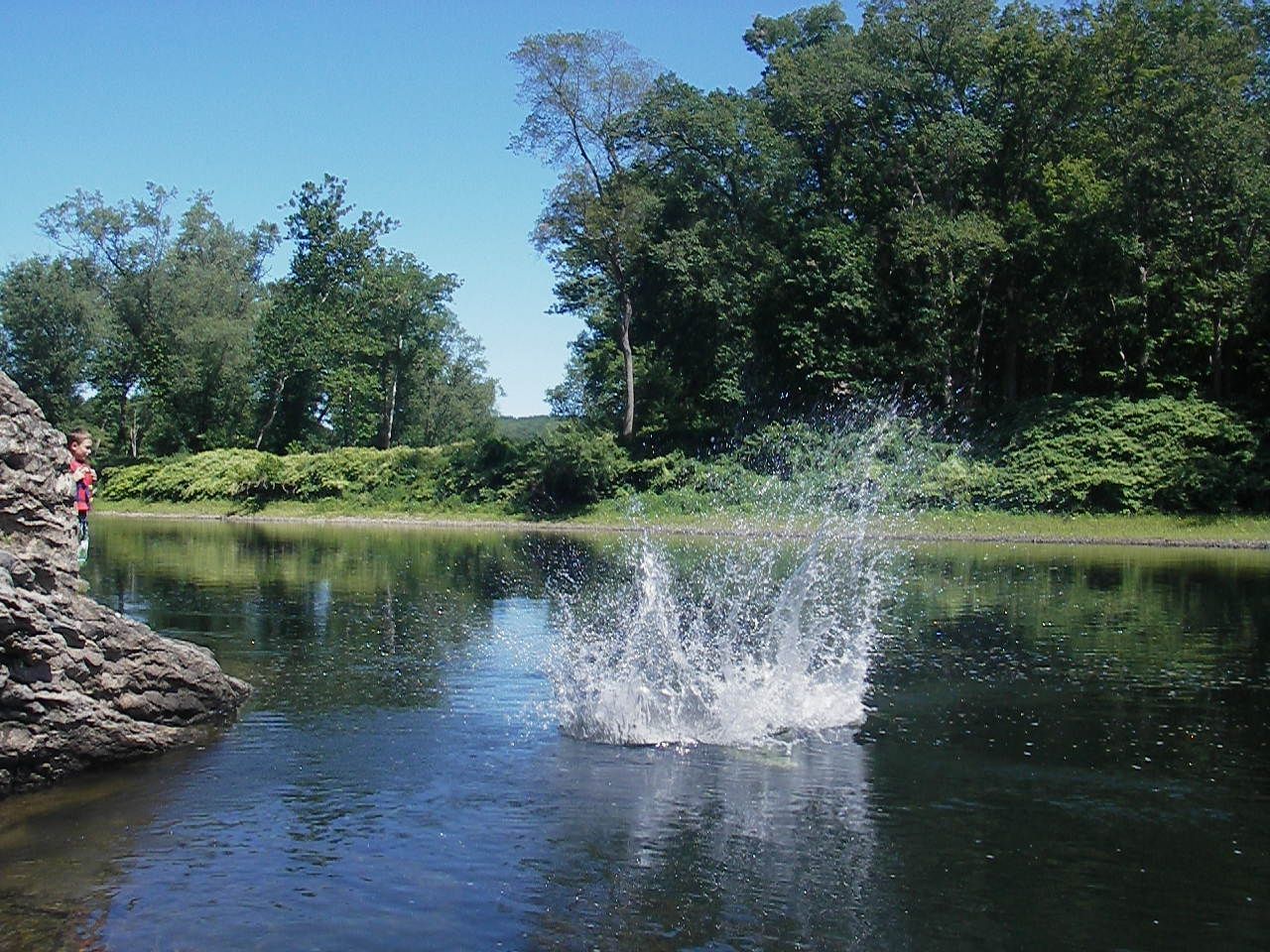 A person jumping into the Delaware River with trees in the background