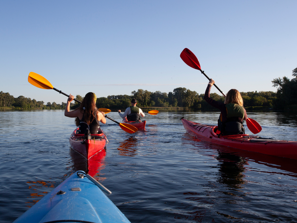 A group of people are paddling kayaks on a lake