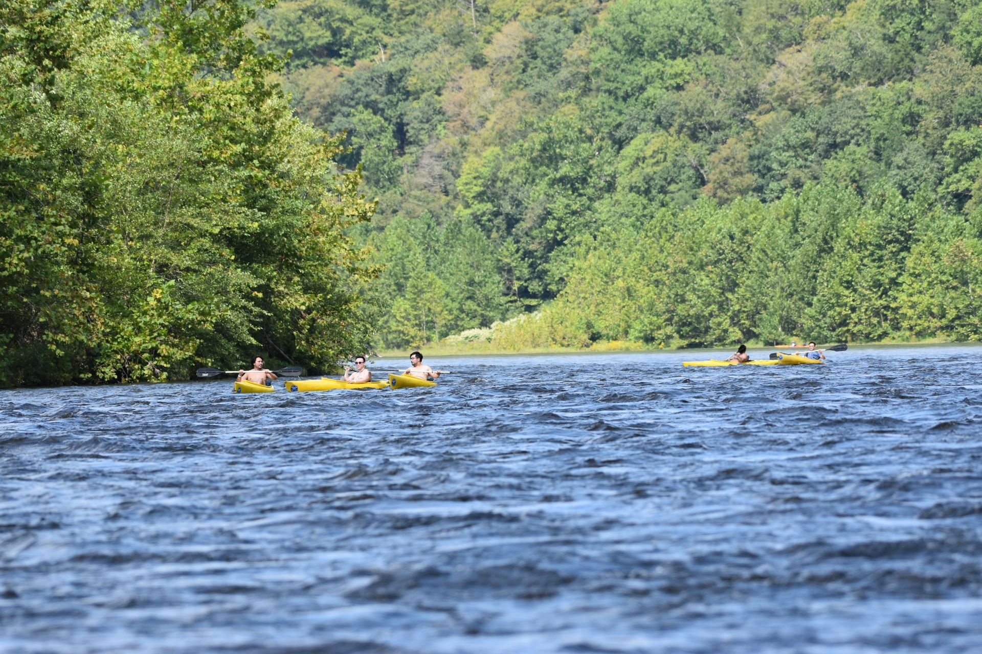 A group of people are rowing adventure sports kayaks on a lake surrounded by trees.