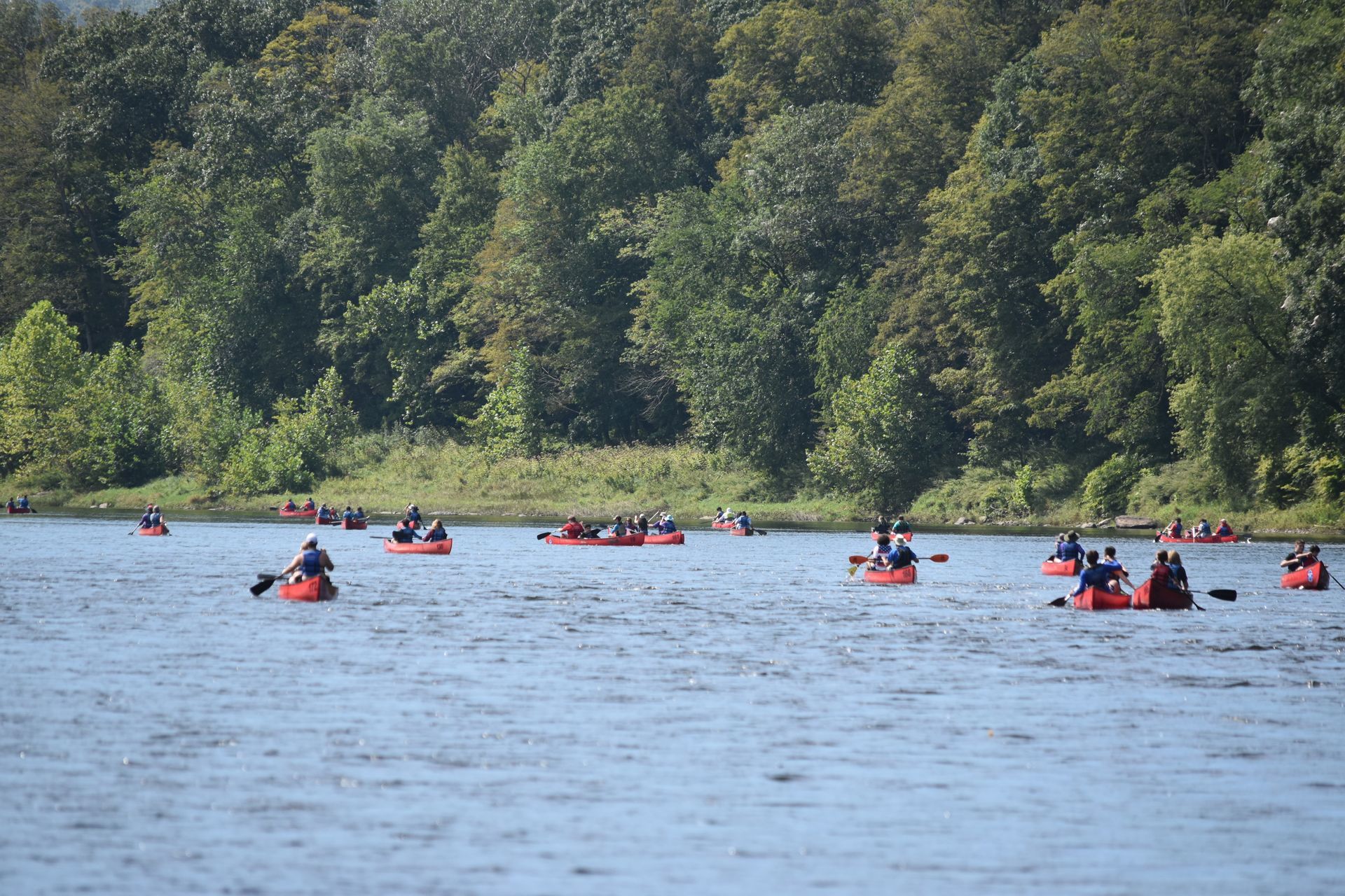 A group of people are rowing adventure sports kayaks on a lake.