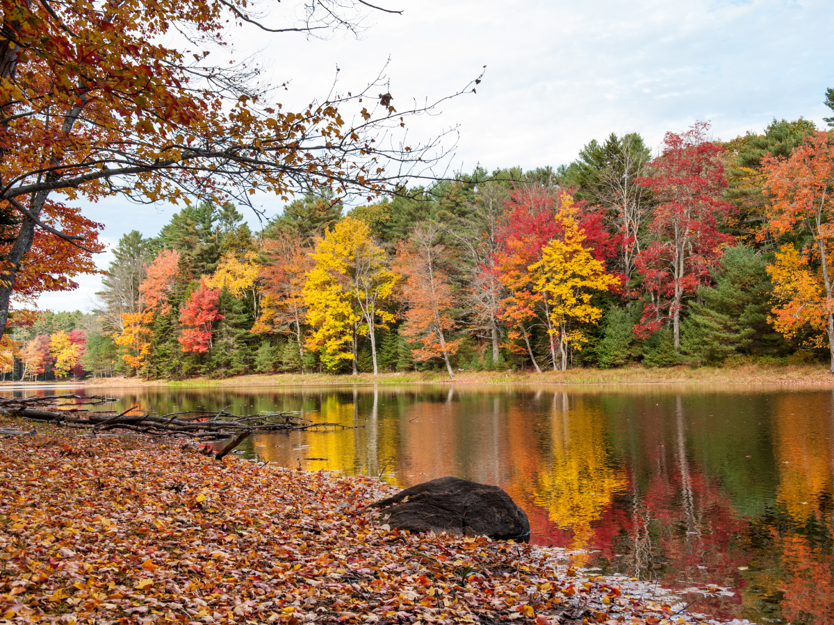 Fall foliage reflecting in calm water. Trees of red, yellow, and orange line the lake. Fall foliage reflecting in calm water. Trees of red, yellow, and orange line the lake.