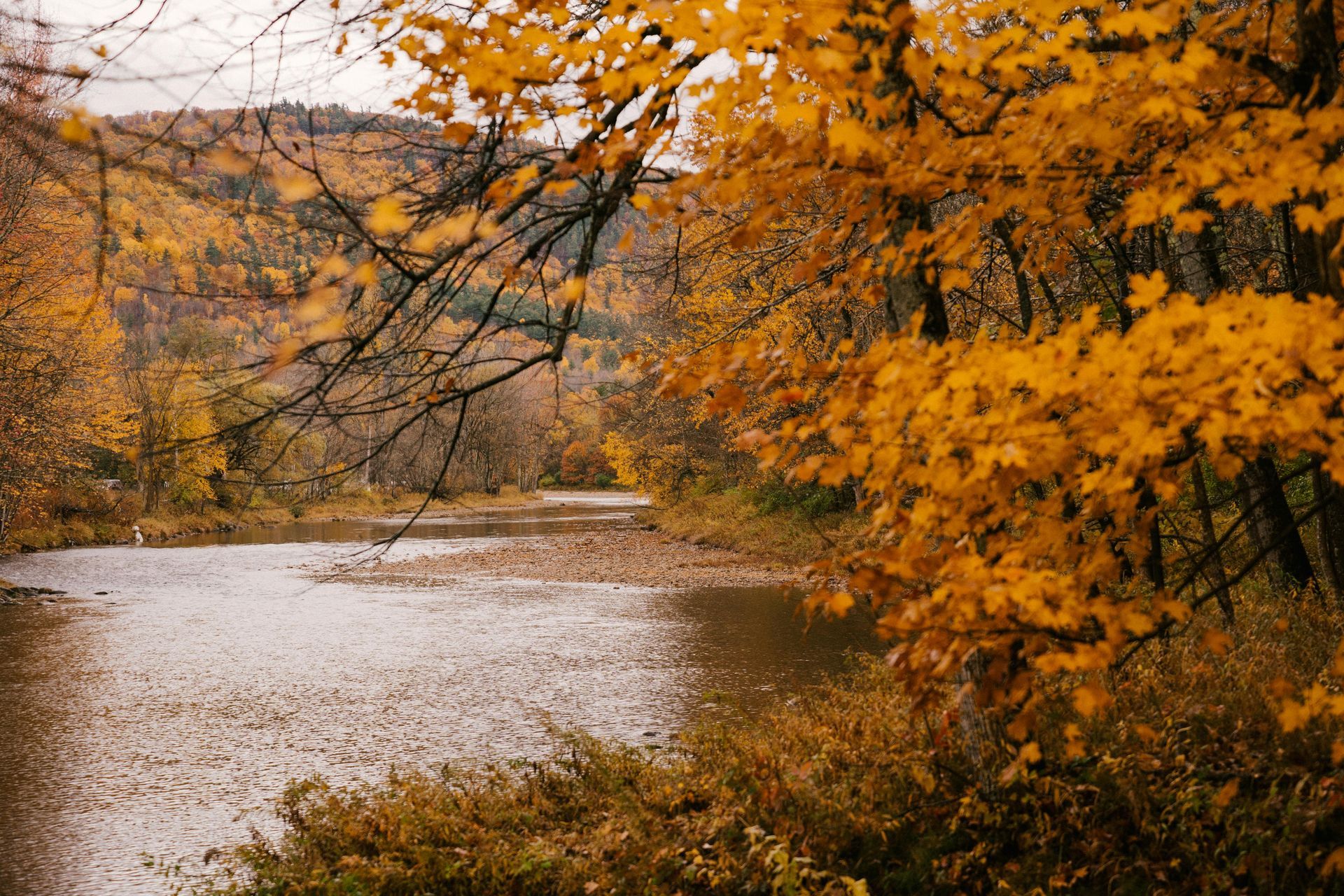 Autumn river scene with golden foliage, trees, and a distant hill.