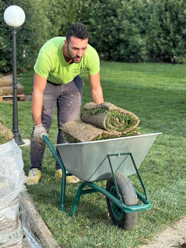 Un uomo con una camicia verde carica i rotoli di zolle erbose su una carriola su un prato.