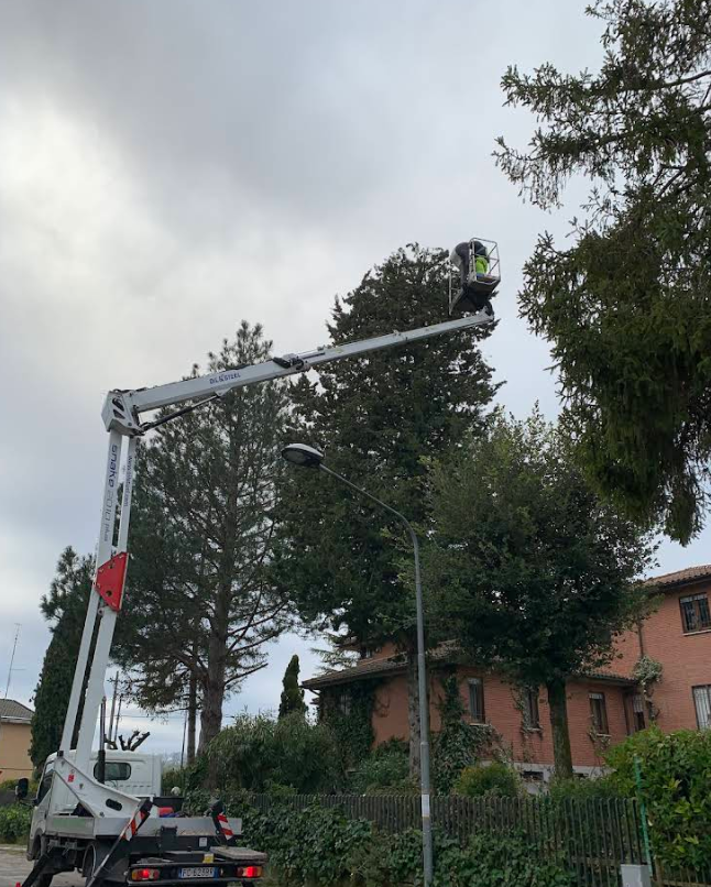Piattaforma aerea montata su camion con un operaio che pota i rami di un albero, cielo coperto. Edifici sullo sfondo.