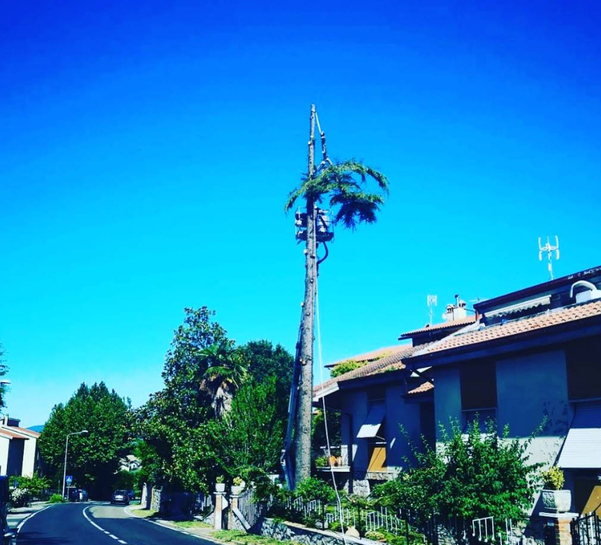 Torre cellulare camuffata da albero in una zona residenziale, con antenne e fogliame visibili contro un cielo blu.