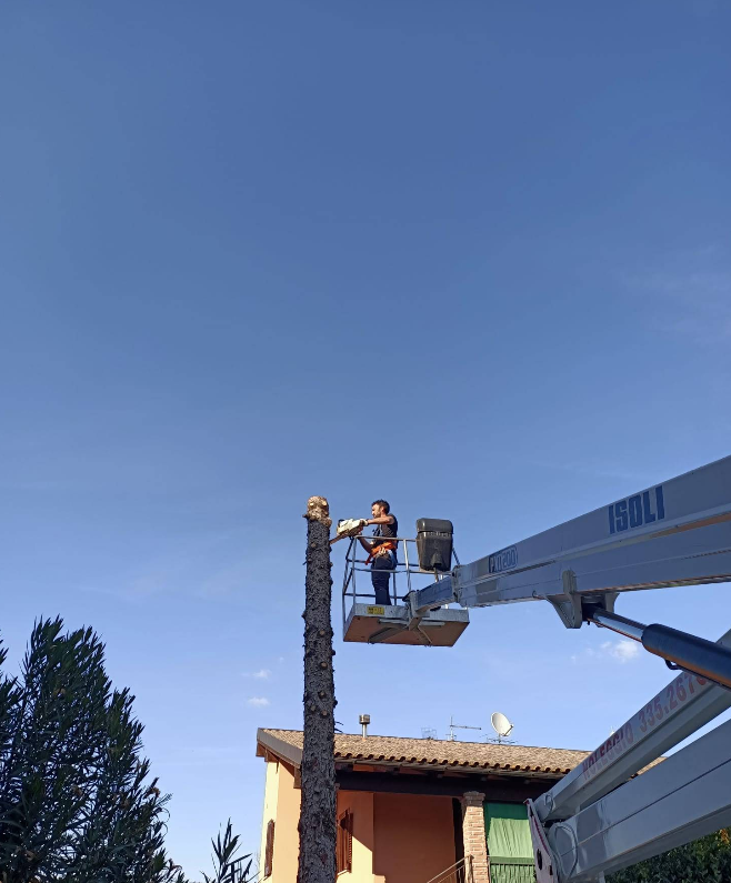 Un operaio pota un albero da una piattaforma elevatrice sullo sfondo del cielo azzurro.
