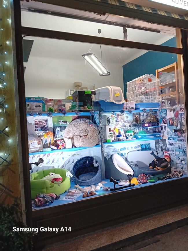 Vetrina di un negozio di animali con giocattoli, cucce e accessori; combinazione di colori blu e bianco; illuminata.