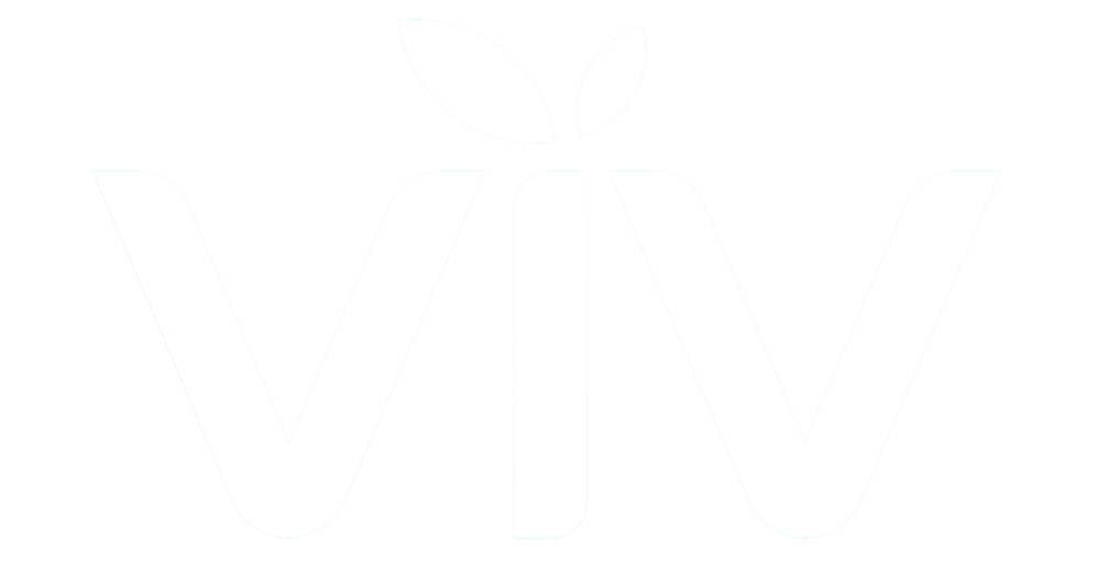 VIV Digital Marketing Logo