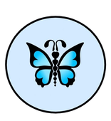 Una mariposa azul y negra sobre un fondo blanco.