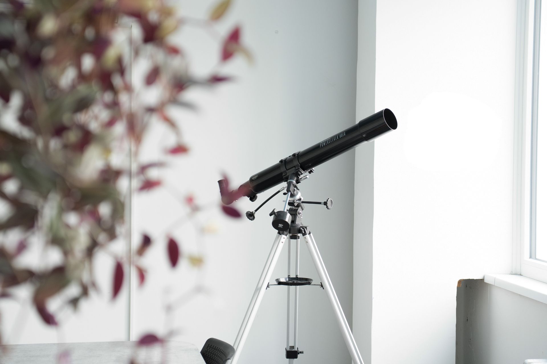 Office interior with a conference table, chairs, and potted plant, viewed through a doorway.