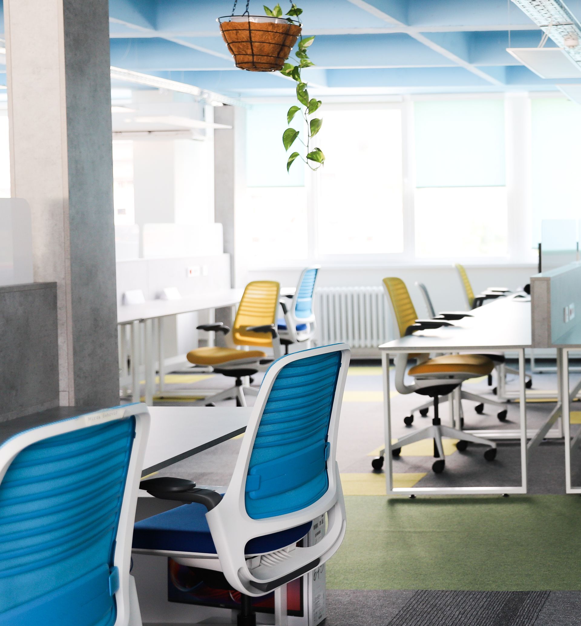 Open office with blue and yellow chairs, white desks, and hanging plant.