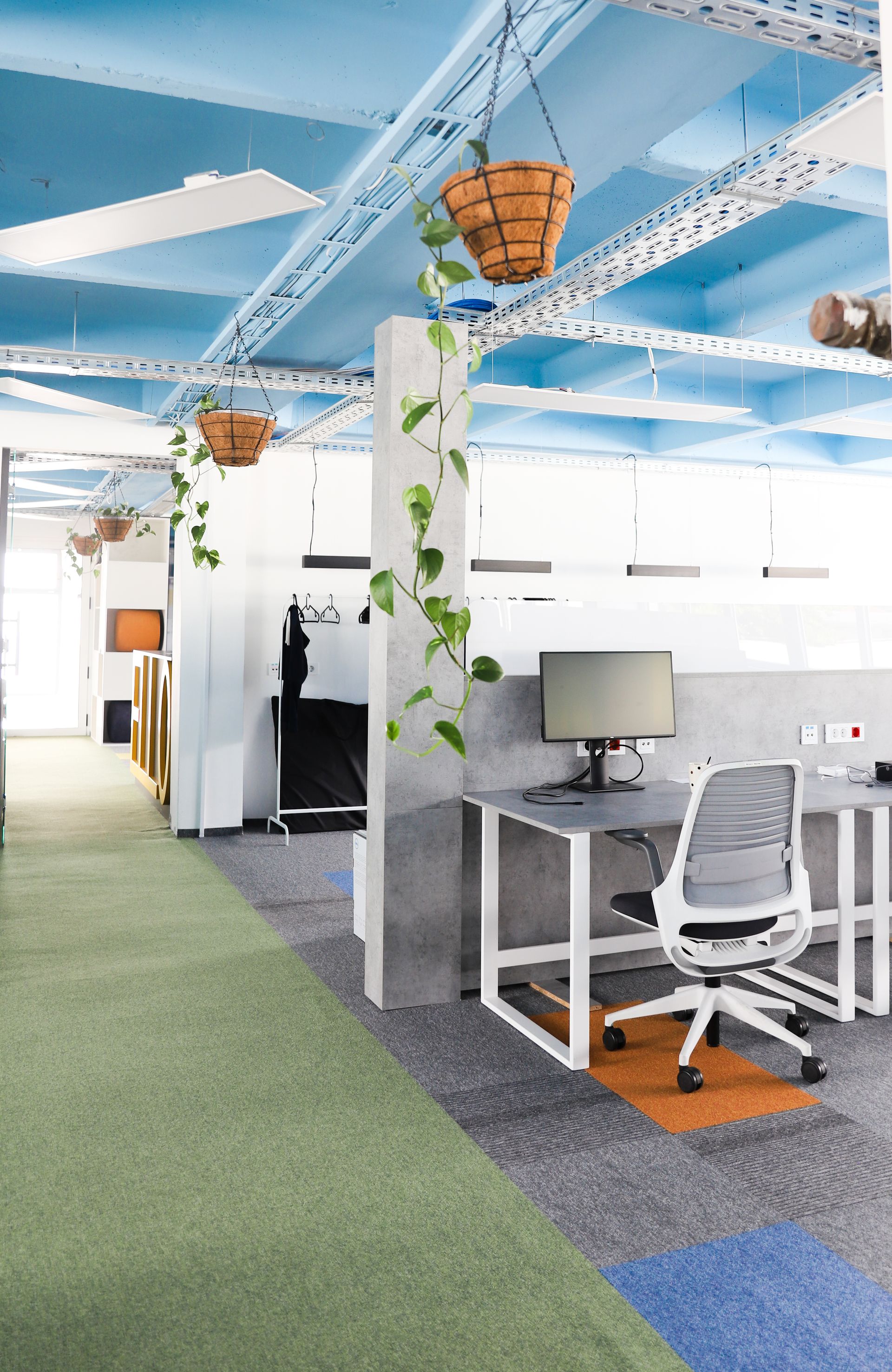 Modern office interior with desks, green and blue carpet, plants hanging from the ceiling.