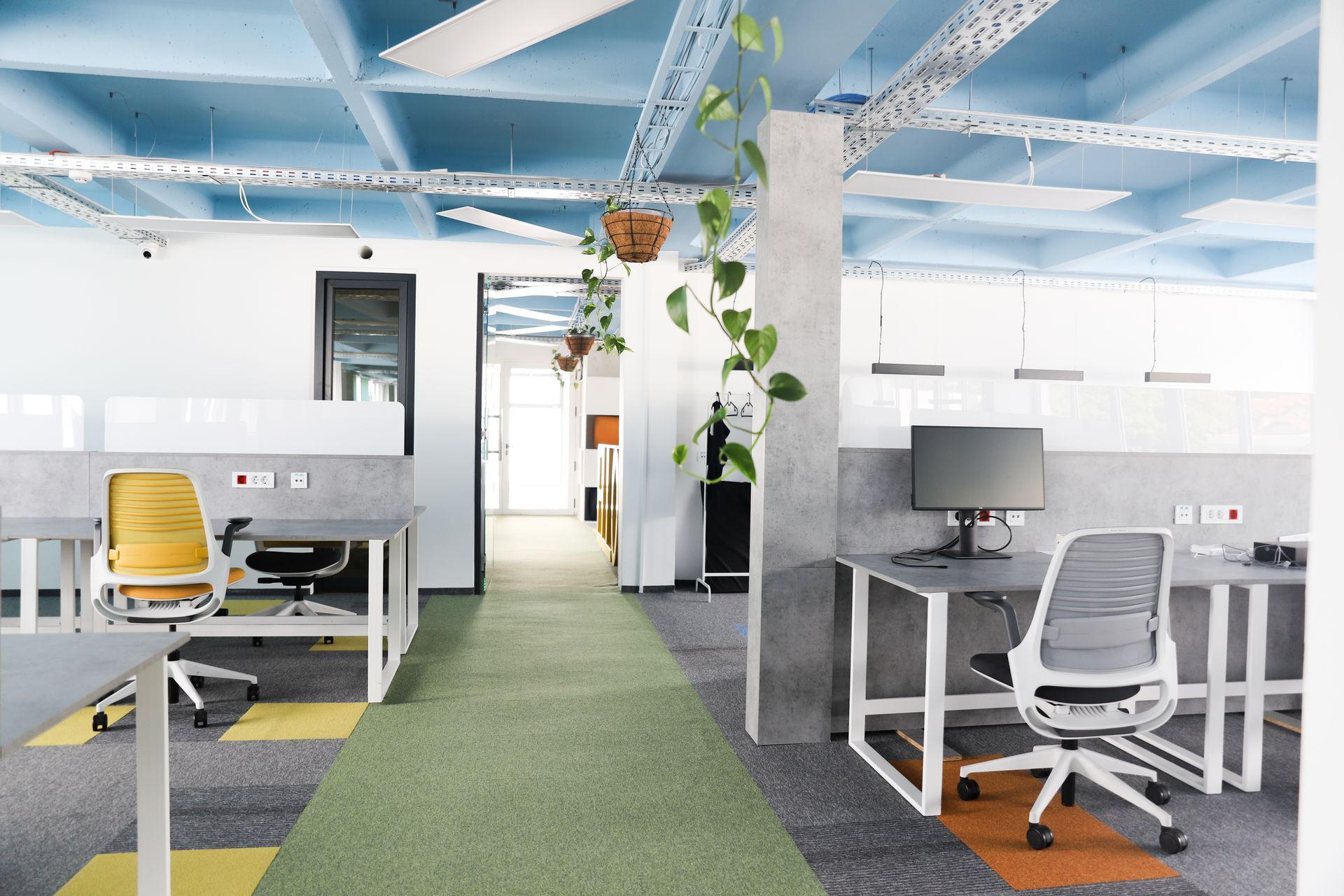 Modern office space with workstations, green and yellow carpet, blue ceiling, and plants.