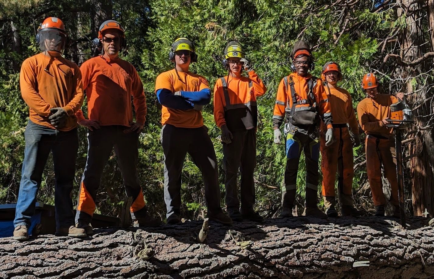 Pacific Slope Tree Service Team