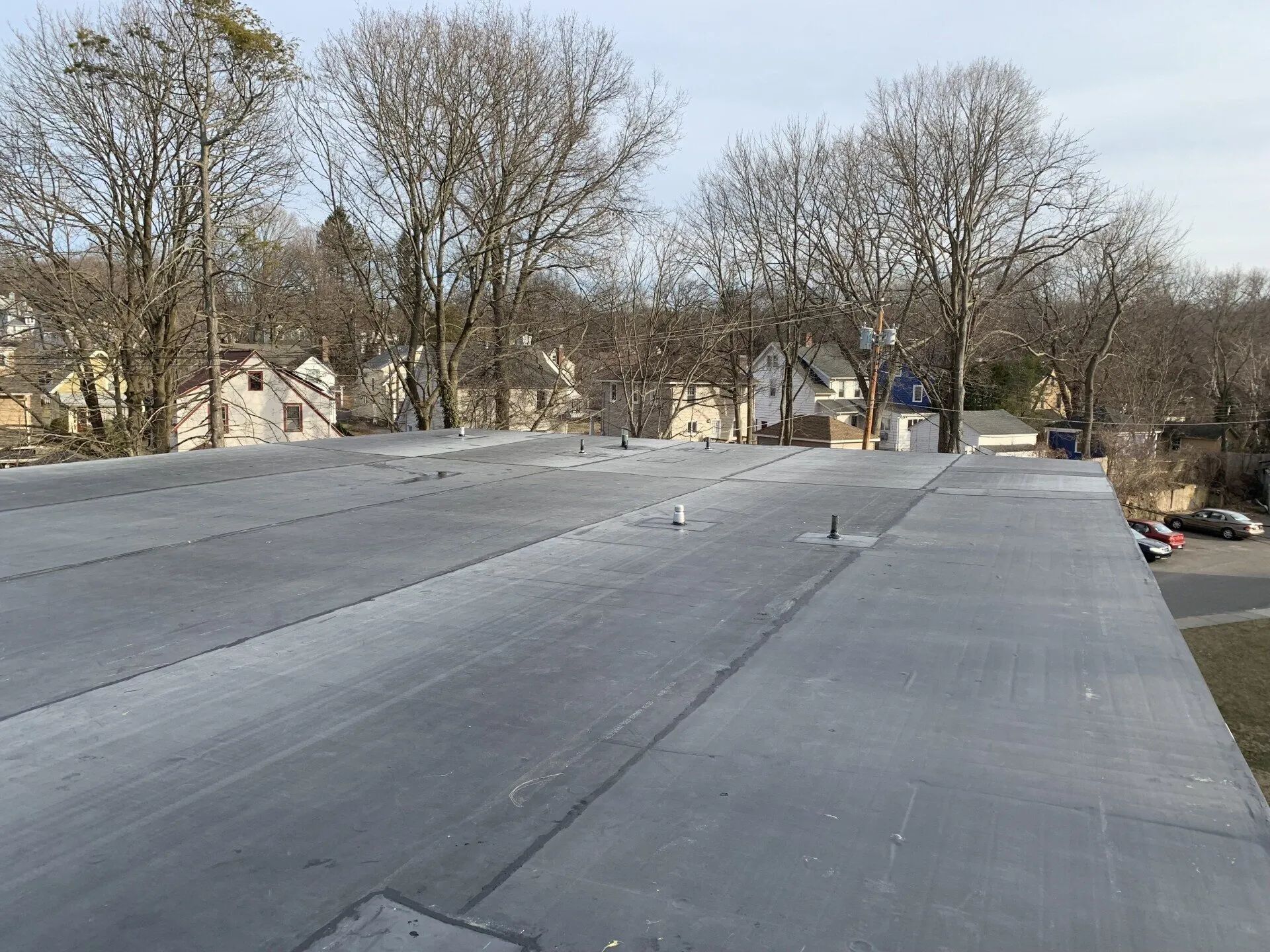 View from a rooftop, showing a flat, gray surface with trees and buildings in the background.