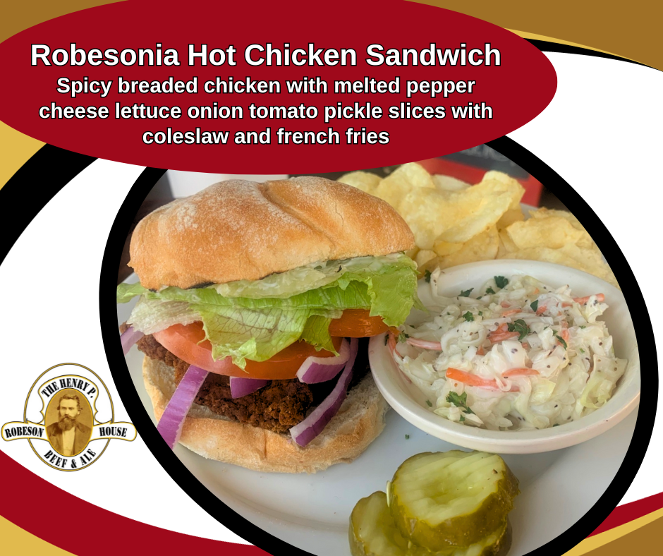 A hot chicken sandwich with lettuce tomato pickle slices coleslaw and french fries