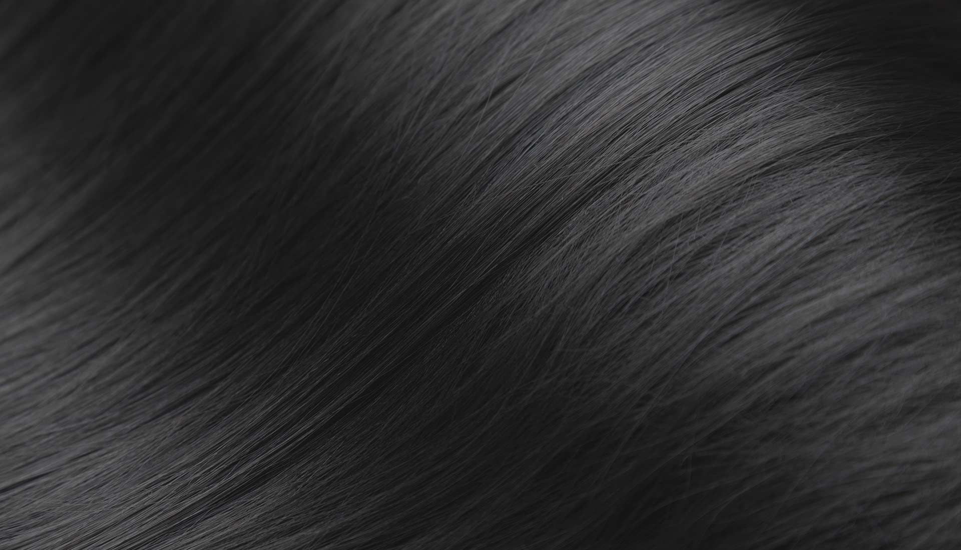 A close up of a person 's black hair.