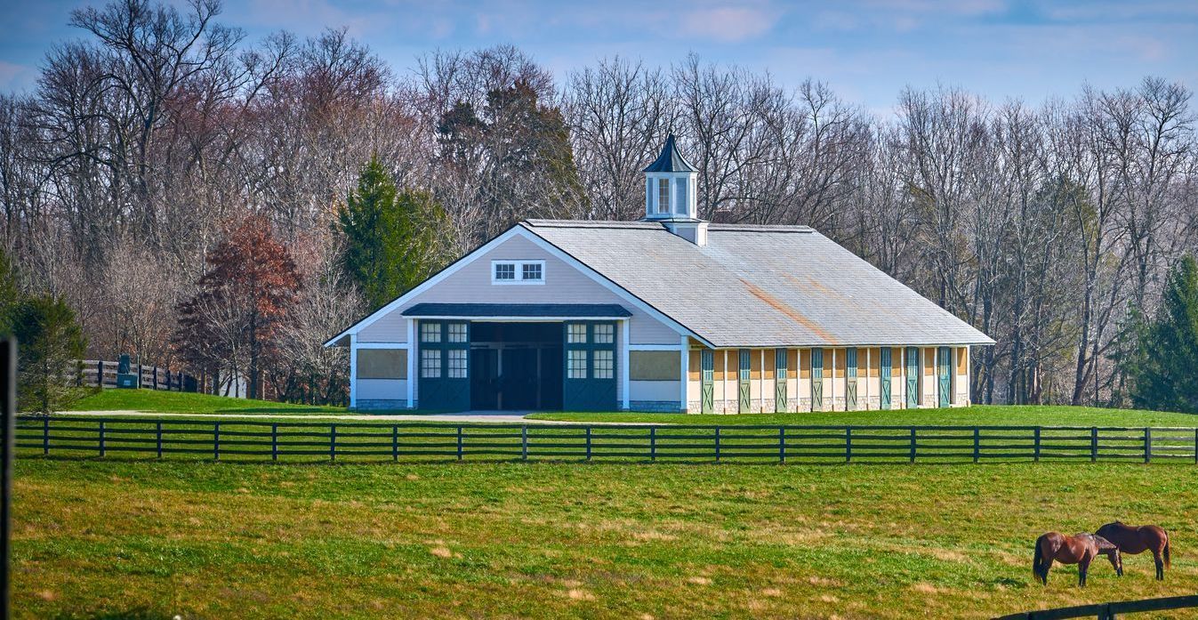 Two horses are grazing in front of a barn in a field.