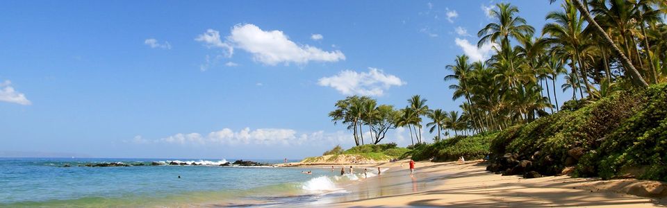 Hawaiian beach with palm trees.