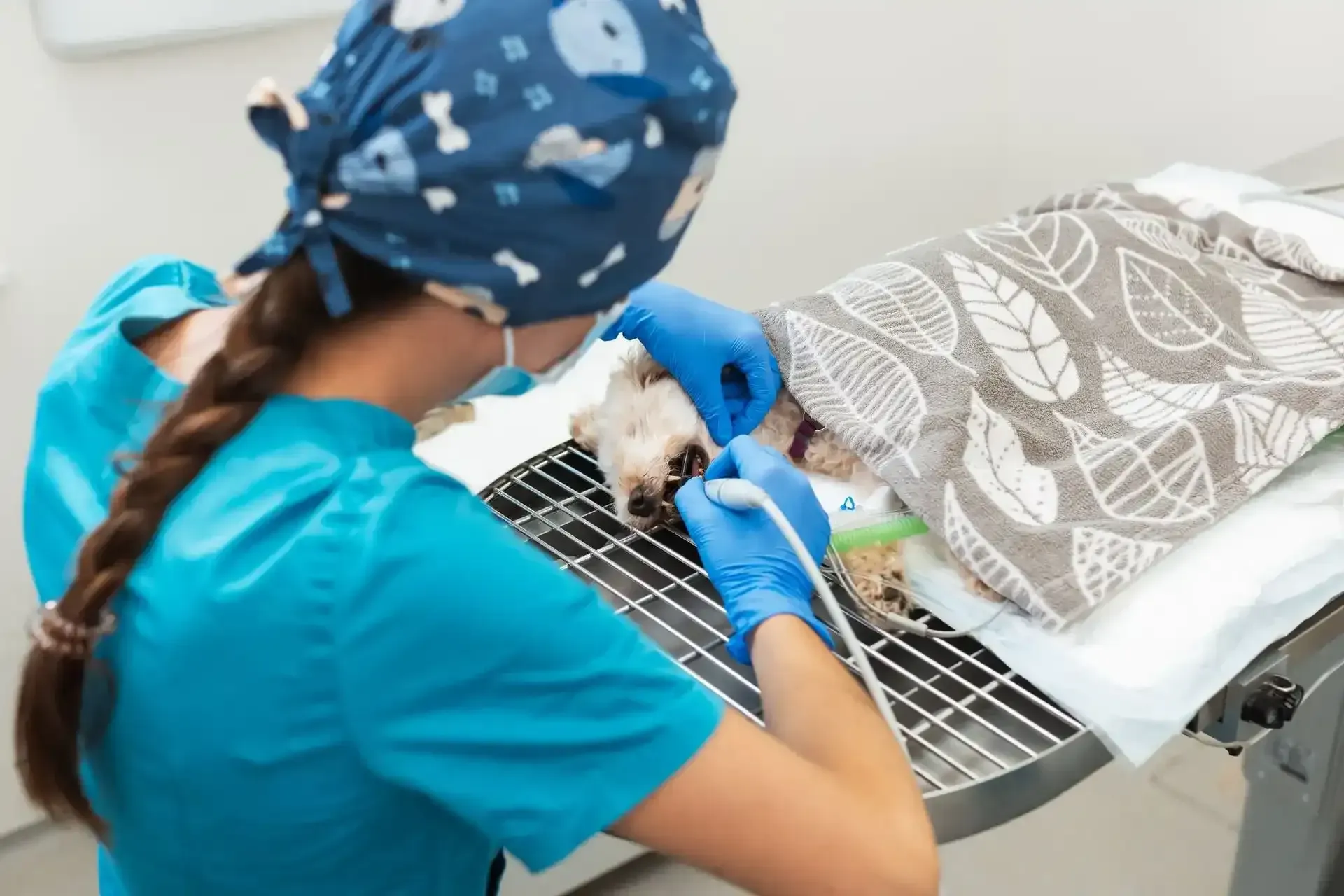 Les Différents Types de Sédation en Chirurgie Dentaire